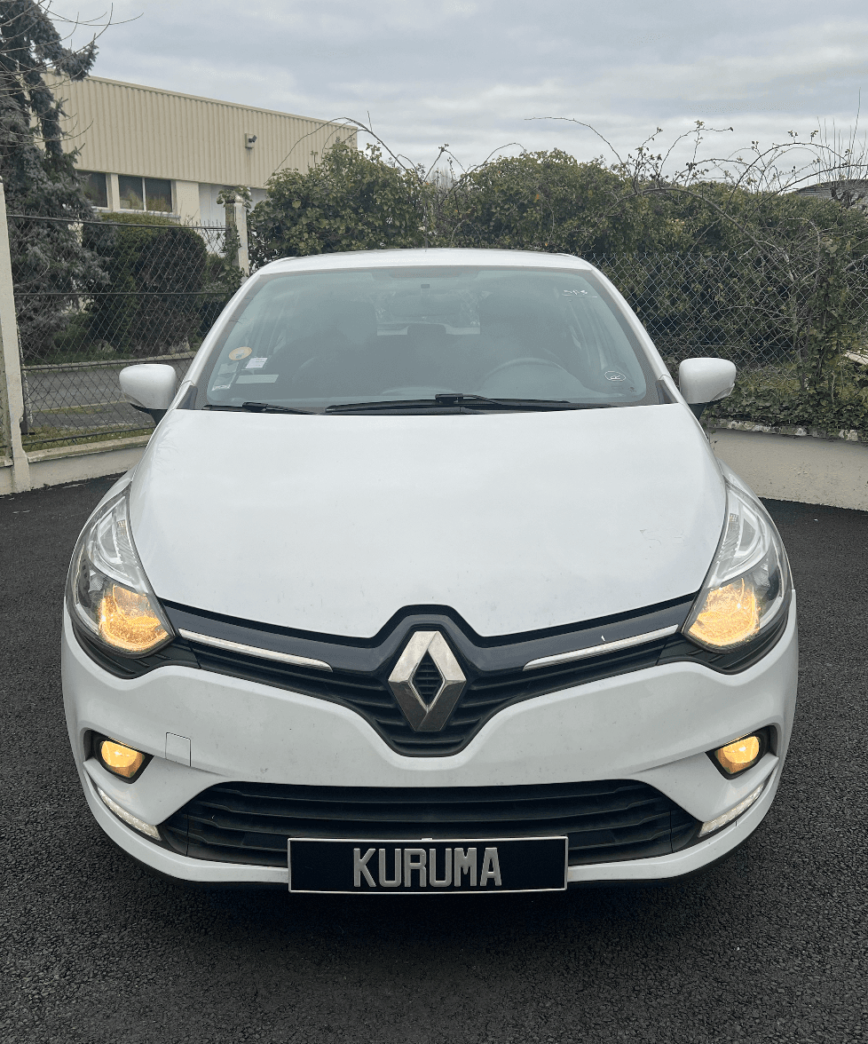 RENAULT CLIO 4 miniature 2