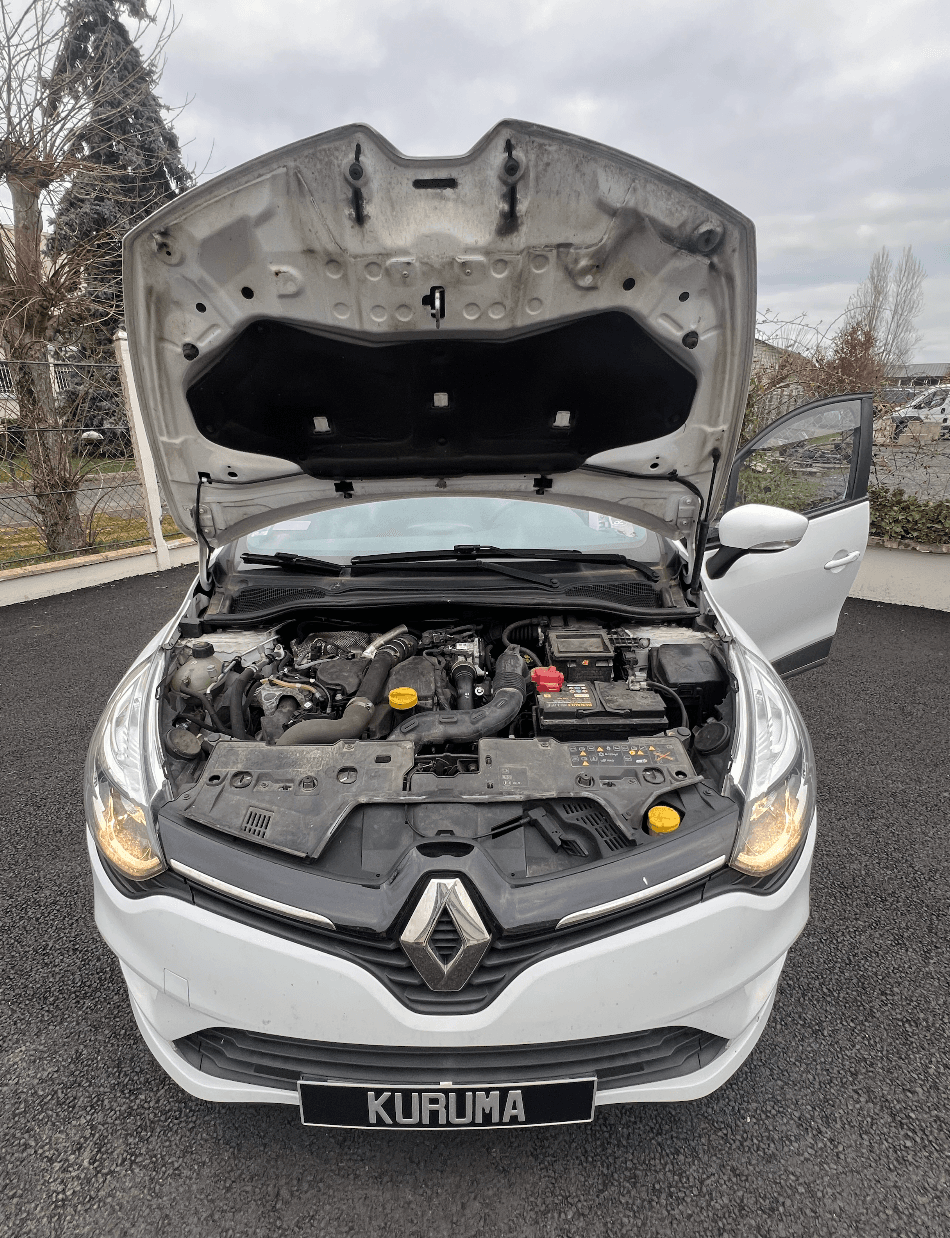 RENAULT CLIO 4 miniature 10